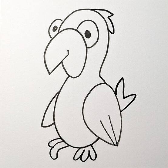 Parrot%20Drawing%5FStep6b.jpg?sw=554&q=85