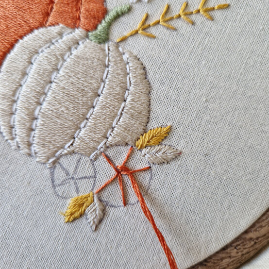 idea%5Fautumn%2Dembroidery%2Dprojects%2Dto%2Dtry%2Dhoop%5Fstep%2D04.jpg?sw=554&q=85