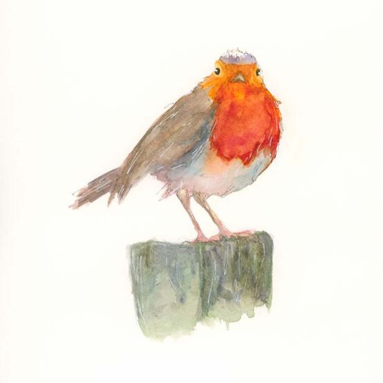 artisan-lisa-kavanagh-robin-artwork.JPG.jpg?sw=554&q=85