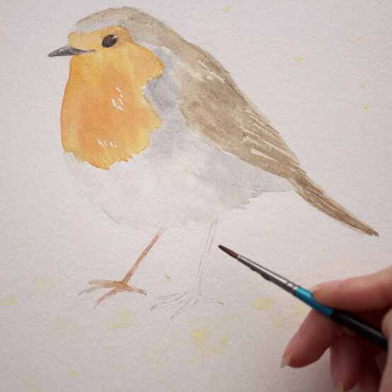 paint_a_watercolour_robin_painting_step_7.jpg?sw=554&q=85