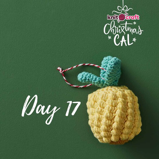 Idea_knitcraft-christmas-advent-cal_day17.jpg?sw=554&q=85