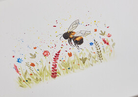 Beginners Guide to British Wildlife Watercolour Workshop