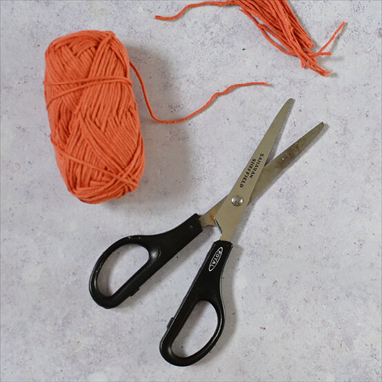 how-to-make-a-highland-cow-step2.jpg?sw=554&q=85