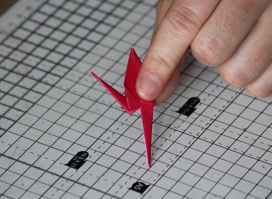 img_7387_edit.jpg?sw=554&q=85