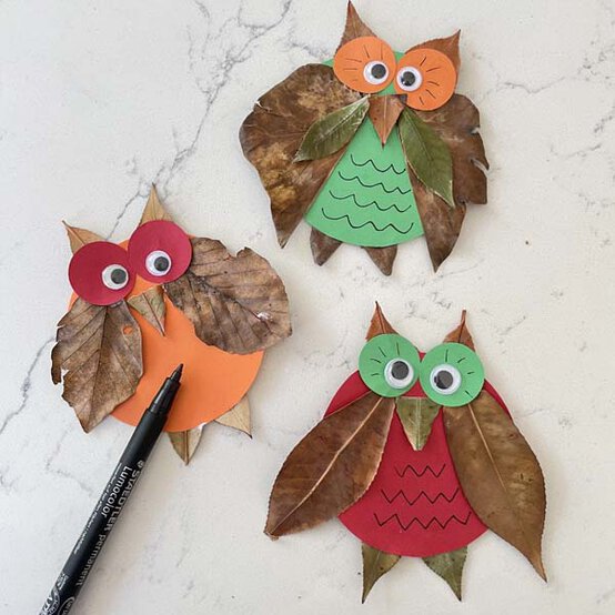 owls3a.jpg?sw=554&q=85
