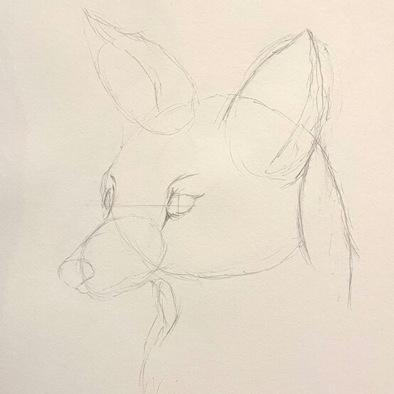 how%2Dto%2Dsketch%2Da%2Dfox%5Fstep%2D1b.jpg?sw=554&q=85