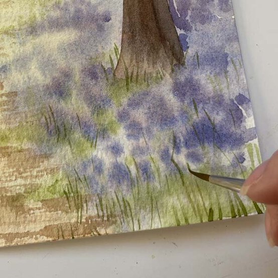 Bluebell%5Fwoodland%5FStep%209.1.jpg?sw=554&q=85
