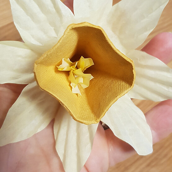 egg_box_cupcakes_7a.jpg?sw=554&q=85