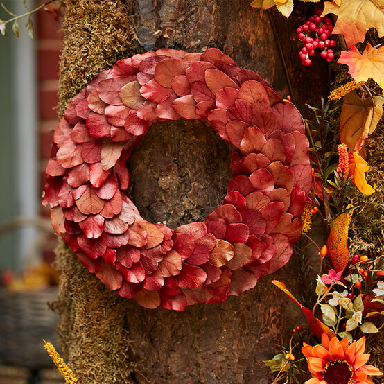 Autumn%20Craft%20Ideas_Leaf%20Wreath.jpg?sw=554&q=85