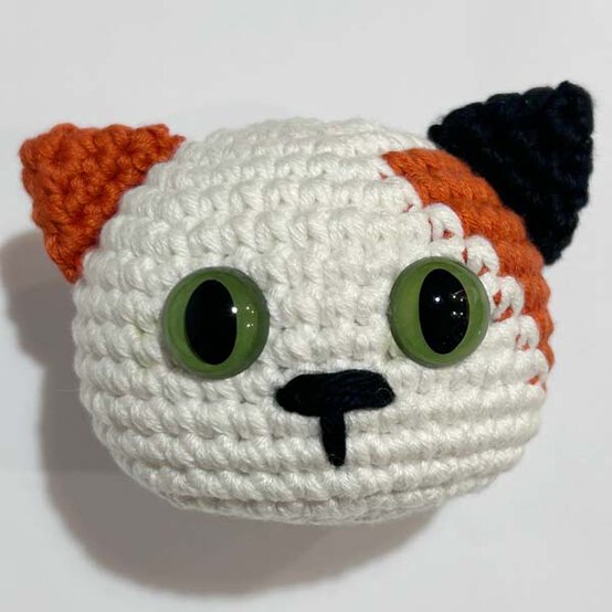 Cat%5Fstep9c.jpg?sw=554&q=85