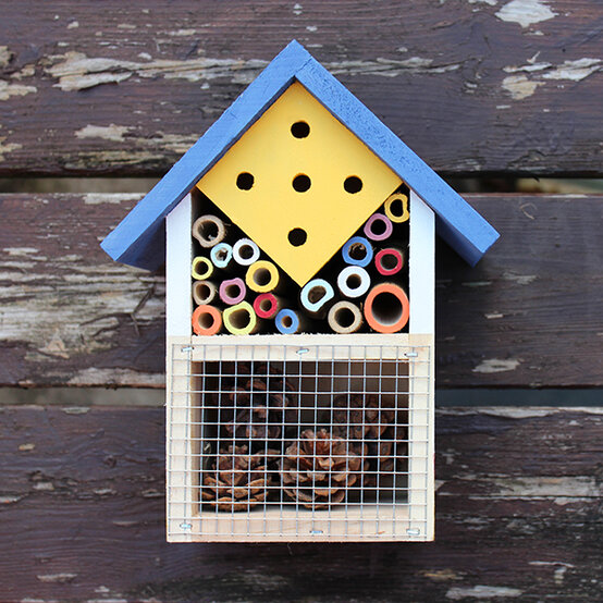 img_6961_4.jpg?sw=554&q=85