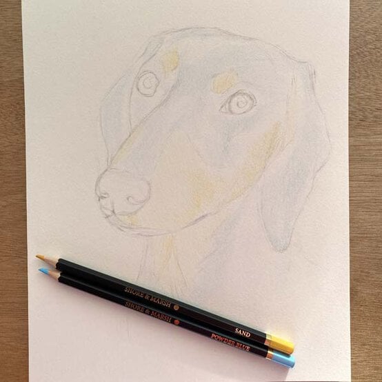 ideas%5Fhow%2Dto%2Ddraw%2Da%2Ddachsund%5Fstep%2D2.jpg?sw=554&q=85