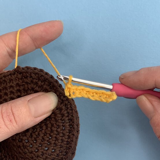 How-to-Crochet-Flowers_Sunflower%20Round%2010%20%283%29.JPEG?sw=554&q=85