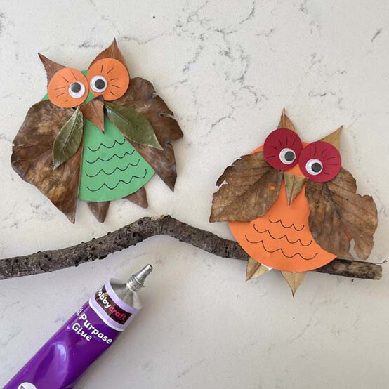 owls4b.jpg?sw=554&q=85