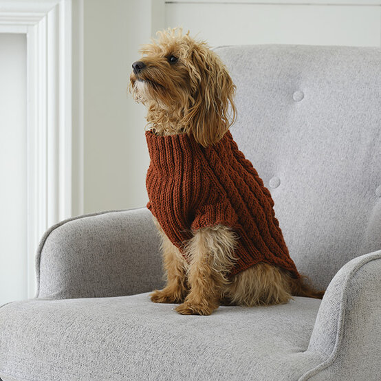 ideas%5Fhow%2Dto%2Dknit%2Dan%2Dautumn%2Ddog%2Dcoat%5F1.jpg?sw=554&q=85