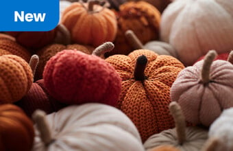 hp-row4-autumn-pumpkins.jpg