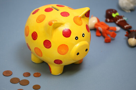 piggy-bank1.jpg?sw=554&q=85