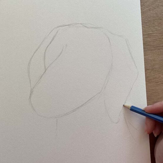 ideas%5Fhow%2Dto%2Ddraw%2Da%2Ddachsund%5Fstep%2D1b.jpg?sw=554&q=85