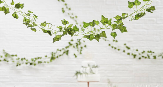 vine.jpg?sw=554&q=85