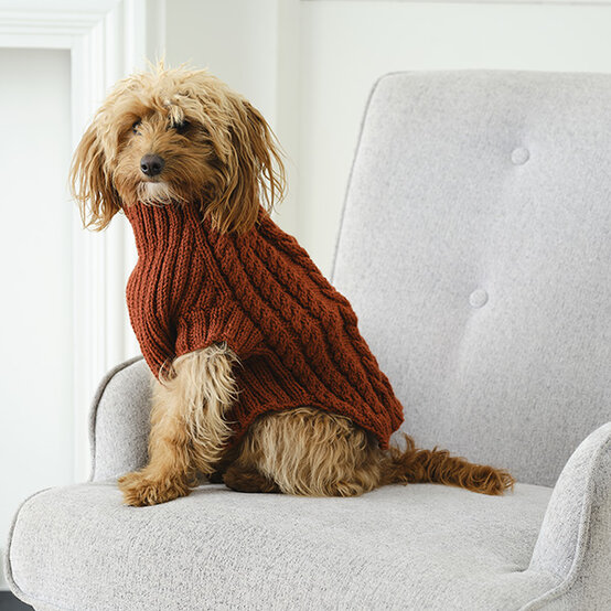 ideas%5Fhow%2Dto%2Dknit%2Dan%2Dautumn%2Ddog%2Dcoat%5F3.jpg?sw=554&q=85