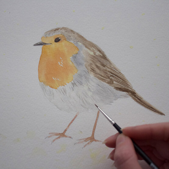 paint_a_watercolour_robin_painting_step_8.jpg?sw=554&q=85