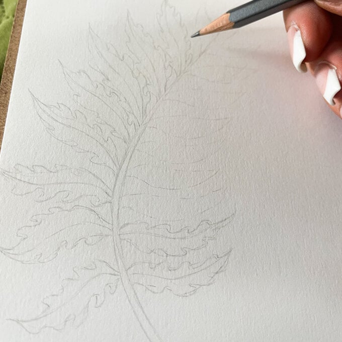 idea_how-to-draw-botanical-illustrations-fern_step5.jpg?sw=680&q=85