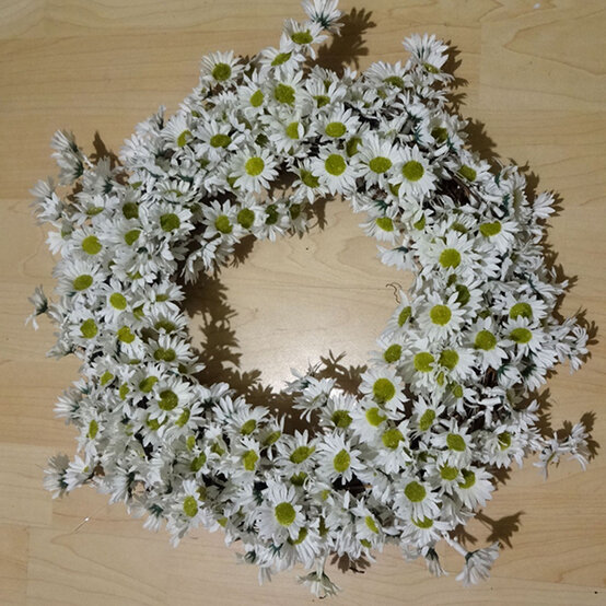 daisy-wreath-3.jpg?sw=554&q=85