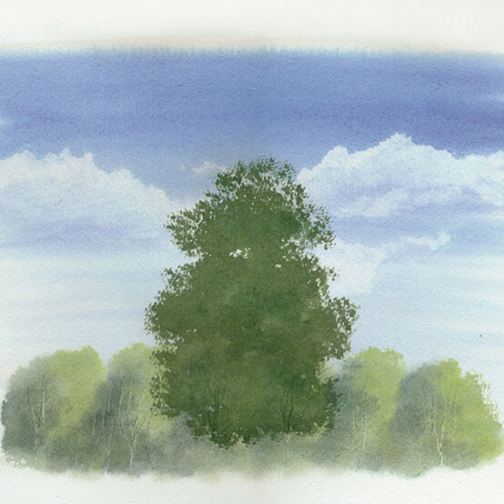 SUMMER-TREE-6.jpg?sw=554&q=85