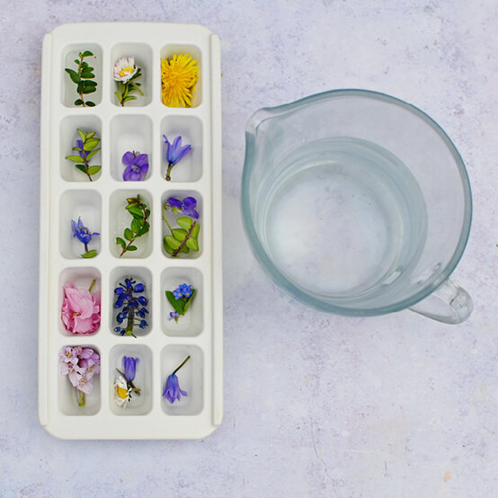 flower-ice-cubes_ice-play-ideas27.jpg?sw=554&q=85