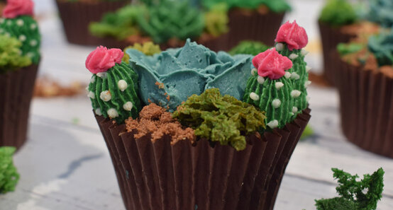 cactus-cupcakes-renshaw-header.jpg?sw=554&q=85