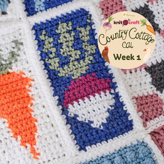 Week%201%20.jpg?sw=554&q=85