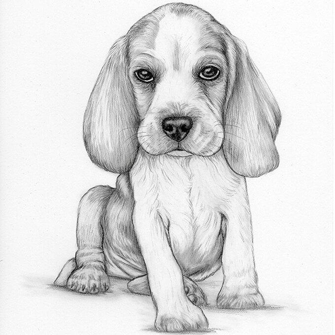 artisan-millie-macdougall-drawing-puppy.jpg?sw=680&q=85