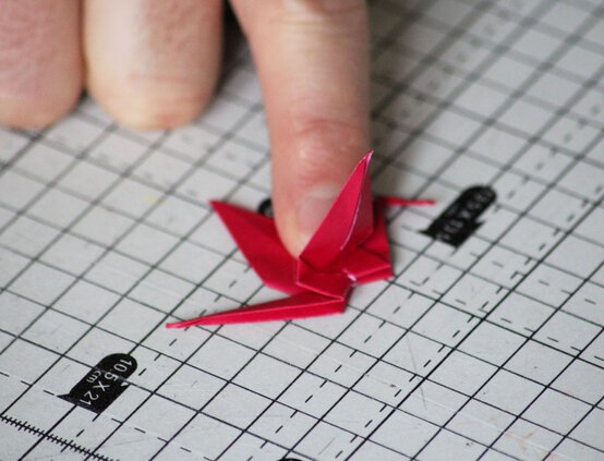 img_7394_edit.jpg?sw=554&q=85