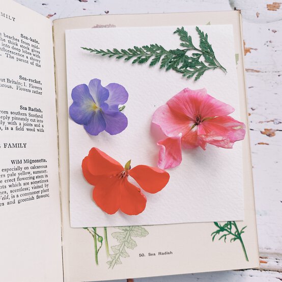 1_how-to-make-pressed-floral-resin-coasters.jpg?sw=554&q=85