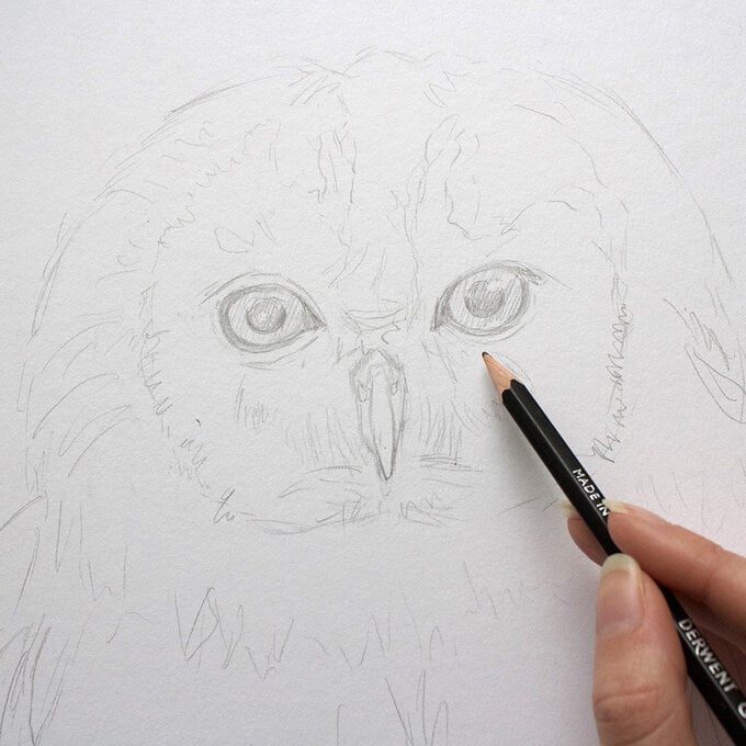 how_to_paint_acrylic_owl_drawing_1.1-1000-pixels.jpg?sw=680&q=85