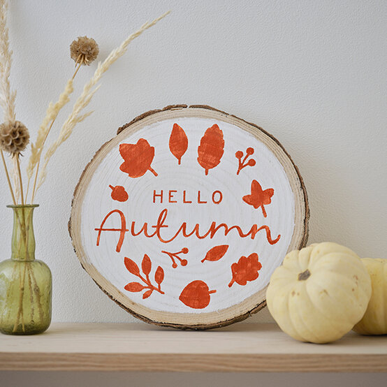 autumn-log-slice.jpg?sw=554&q=85