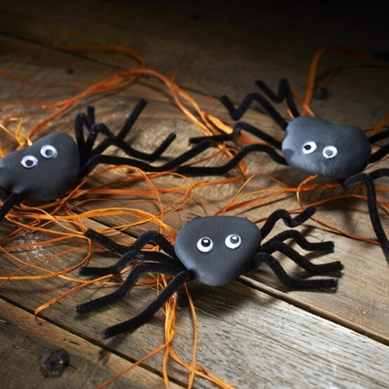 pebble-spiders.jpg?sw=554&q=85