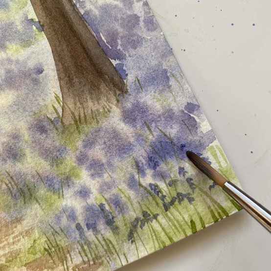 Bluebell%5Fwoodland%5FStep%209.2.jpg?sw=554&q=85