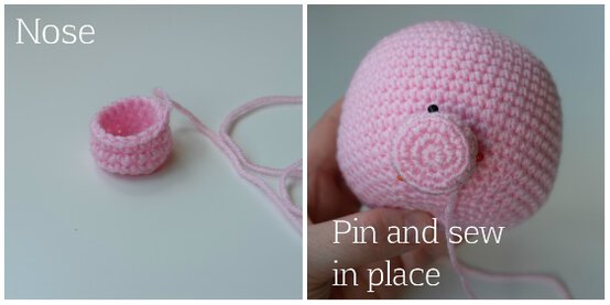 seahorse-2.jpg?sw=554&q=85