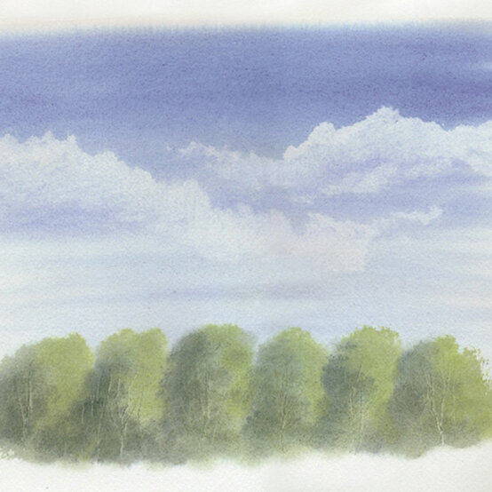 SUMMER-TREE-5.jpg?sw=554&q=85