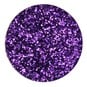 Dark Purple Biodegradable Glitter Shaker 20g image number 2
