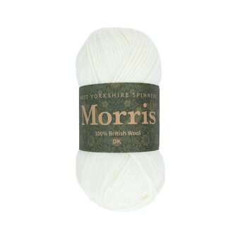 West Yorkshire Spinners Daisy Morris DK 50g 