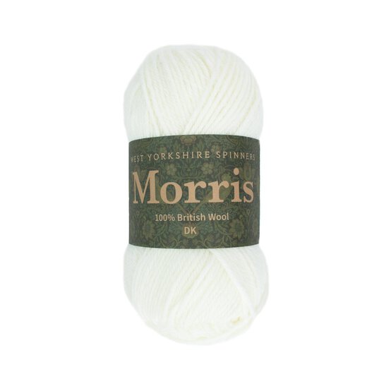 West Yorkshire Spinners Daisy Morris DK 50g  image number 1