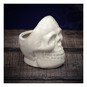 Skull Pot Decoration 11cm image number 1