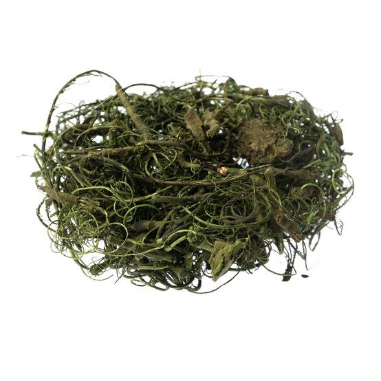 Green Curly Moss 25g image number 1