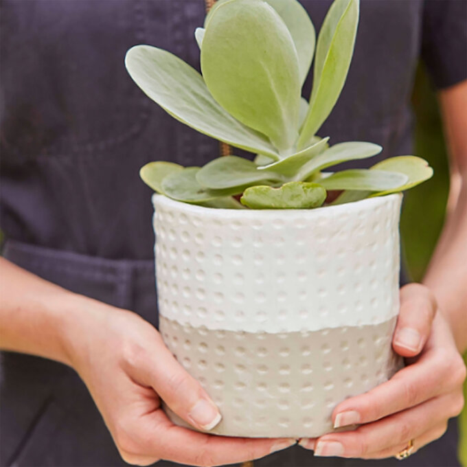 How To Make An Air Dry Clay Plant Pot | Hobbycraft