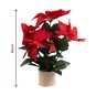 Red Poinsettia Plant Pot 50cm image number 4