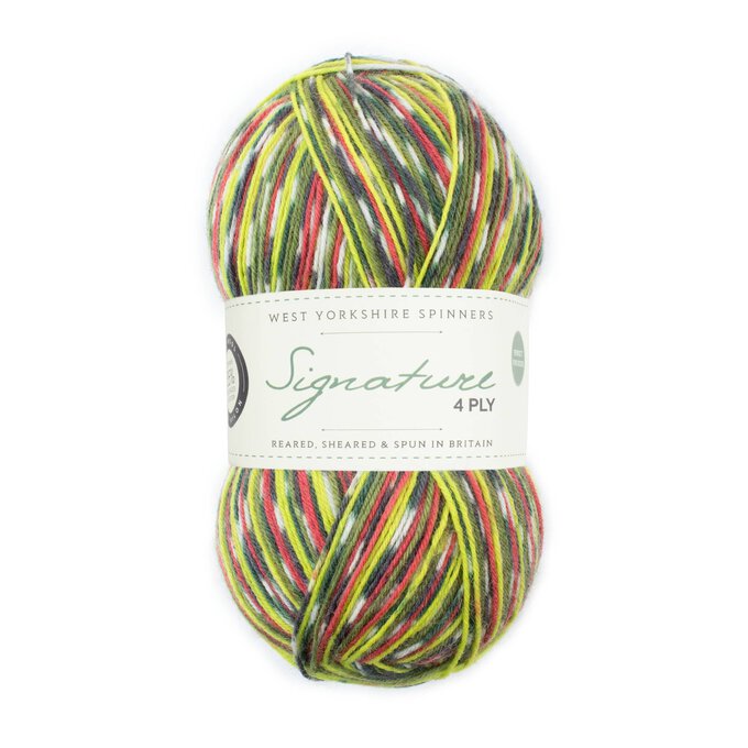 West Yorkshire Spinners Green Woodpecker Signature 4 Ply 100g image number 1