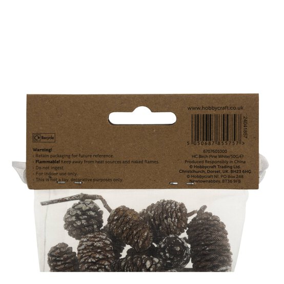 Birch Pinecones 50g image number 6