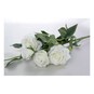 Ivory Camelot Garden Rose Spray 72cm x 13cm image number 2